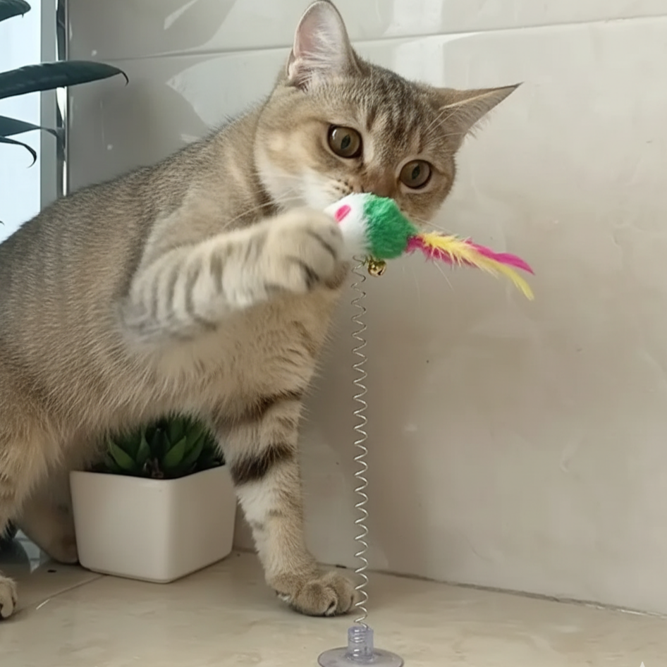 Baguette de jeu pour chat avec ventouse, ressort élastique et clochette sonore, stimule l’instinct de chasse et le jeu interactif.