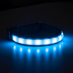  Gros plan d'un collier de chien LED bleu lumineux posé sur une surface réfléchissante, dégageant une lueur intense et moderne.