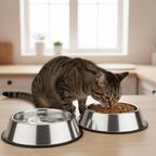 Gamelle en acier inoxydable pour chat et chiot, large et légère, protège les moustaches, durable et facile à nettoyer