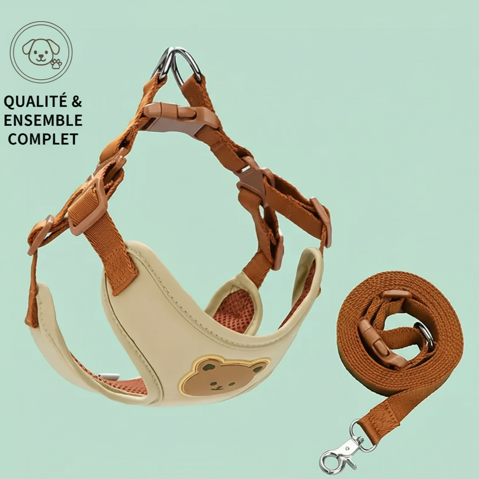 Harnais chic pour chien avec laisse assortie, design ours en peluche, confortable et ajustable pour petits et moyens chiens.