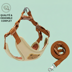 Harnais chic pour chien avec laisse assortie, design ours en peluche, confortable et ajustable pour petits et moyens chiens.