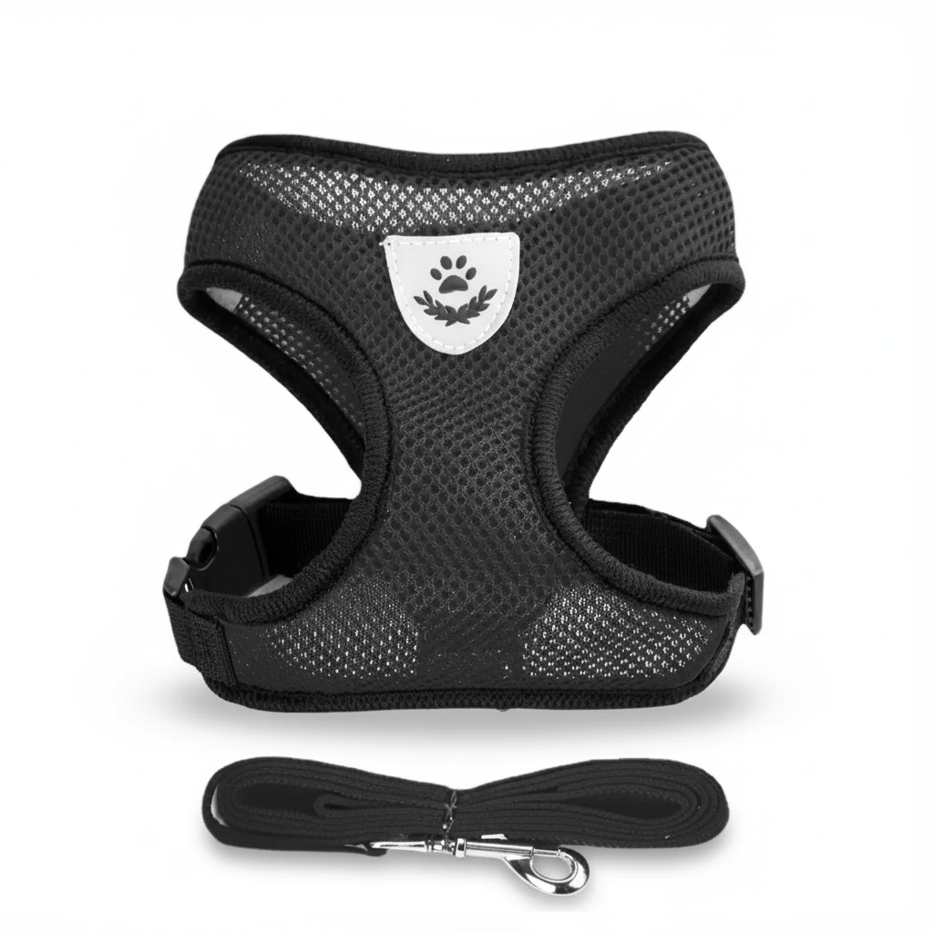 Harnais réfléchissant pour chien et chat avec laisse assortie, ajustable et confortable en maille douce.
