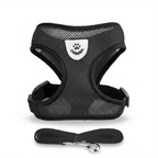 Harnais réfléchissant pour chien et chat avec laisse assortie, ajustable et confortable en maille douce.